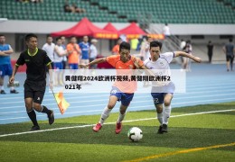 黄健翔2024欧洲杯视频,黄健翔欧洲杯2021年