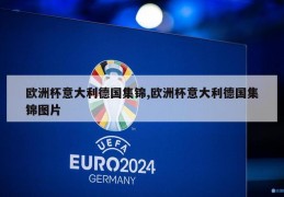 欧洲杯意大利德国集锦,欧洲杯意大利德国集锦图片