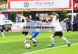 欧洲杯2024颜值,欧洲杯2029