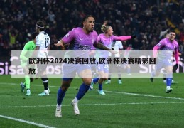 欧洲杯2024决赛回放,欧洲杯决赛精彩回放