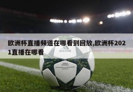 欧洲杯直播频道在哪看到回放,欧洲杯2021直播在哪看