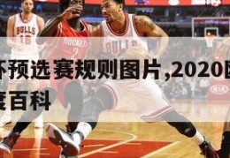 年欧洲杯预选赛规则图片,2020欧洲杯预选赛百度百科