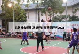 欧洲杯去哪里,欧洲杯在哪里举行啊2022