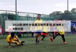 2024欧洲杯分组情况如何查询,欧洲杯24强分组