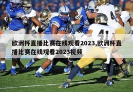 欧洲杯直播比赛在线观看2023,欧洲杯直播比赛在线观看2023视频