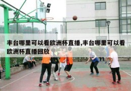 丰台哪里可以看欧洲杯直播,丰台哪里可以看欧洲杯直播回放