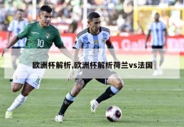 欧洲杯解析,欧洲杯解析荷兰vs法国