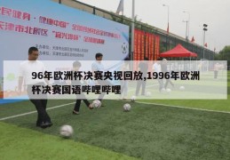 96年欧洲杯决赛央视回放,1996年欧洲杯决赛国语哔哩哔哩