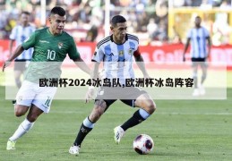 欧洲杯2024冰岛队,欧洲杯冰岛阵容